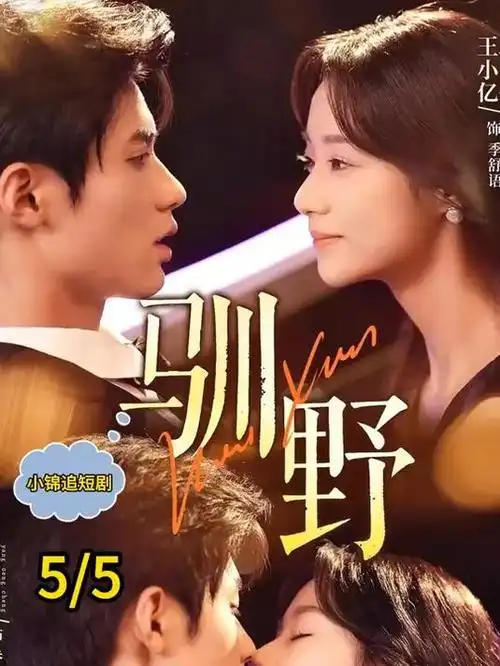 欧美剧集白噪音档案剧照