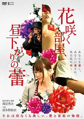 电影《肖申克的救赎》新收录海报